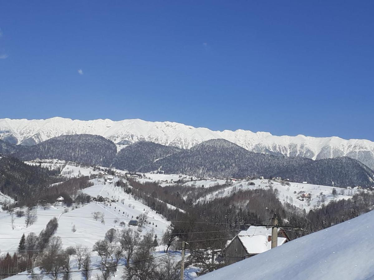 Pensiunea Tabacaru Peştera Exterior foto