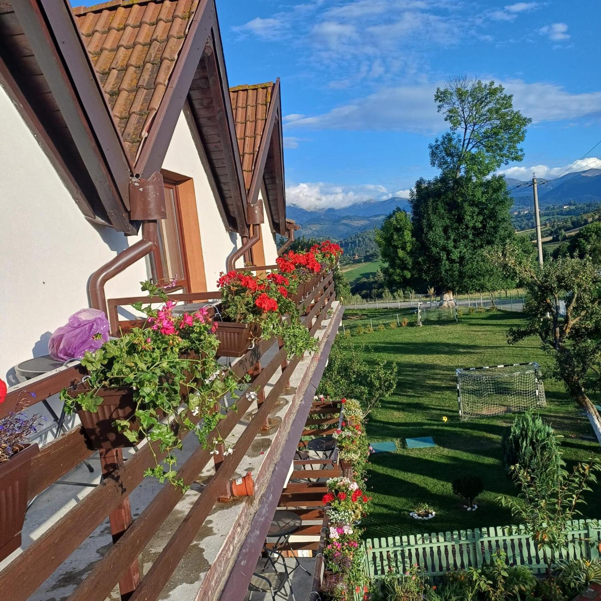 Pensiunea Tabacaru Peştera Exterior foto
